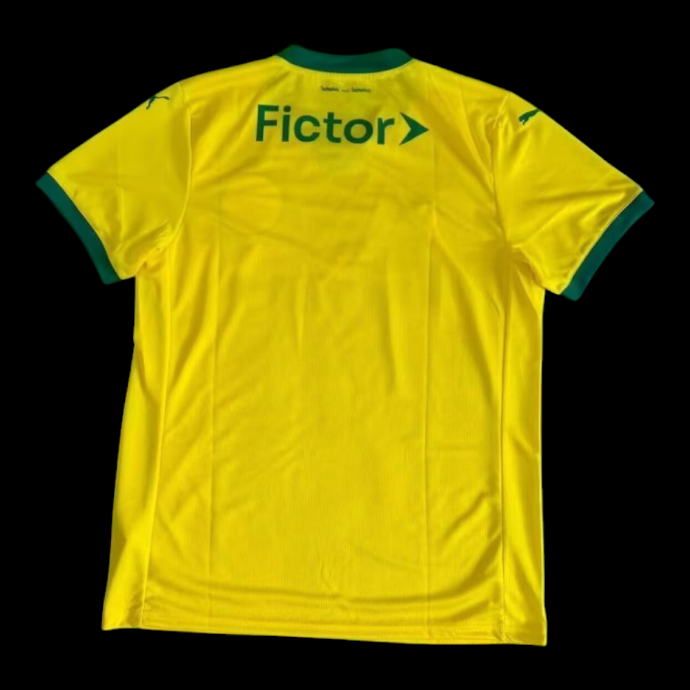 Vue arrière Palmeiras Maillot Third 2526